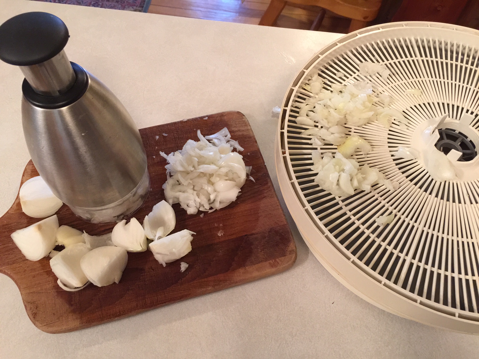 Dehydrating Onions for your Winter storage or use as gifts.