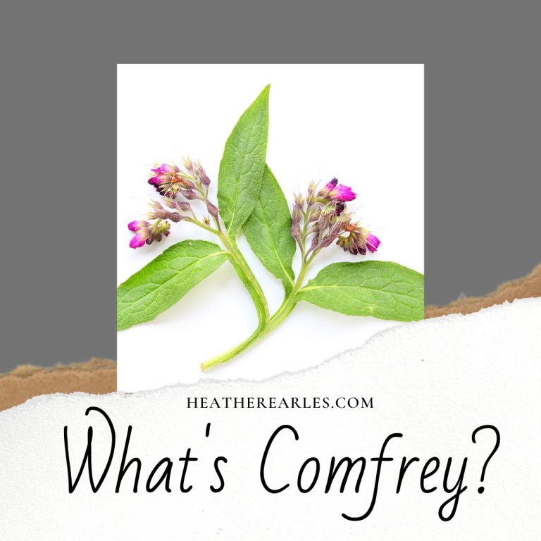 The Top 10 benefits of Comfrey? Heather Earles